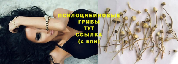 экстази Сафоново