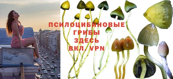экстази Сафоново